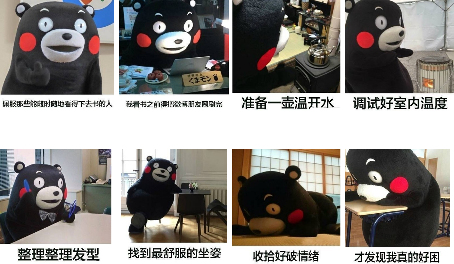 2024121911275385538246_入门导学