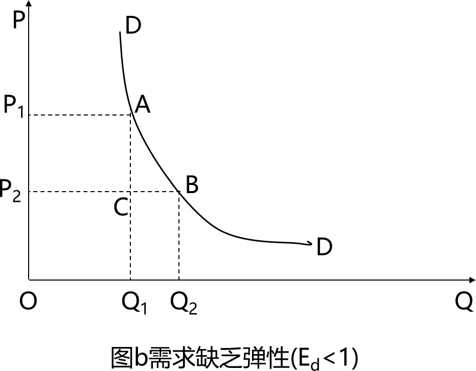 2025121916393744641249_弹性(二)