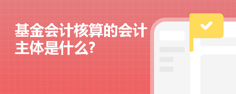基金会计核算的会计主体是什么?