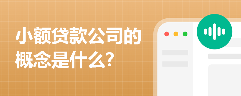 小额贷款公司的概念是什么？