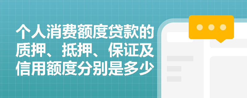 个人消费额度贷款的质押、抵押、保证及信用额度分别是多少？