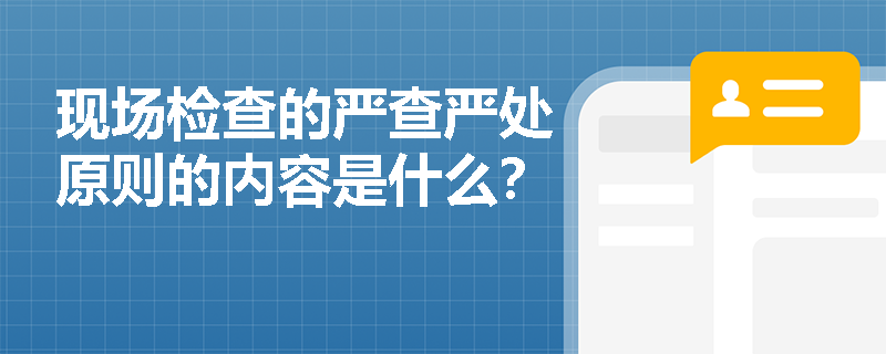 现场检查的严查严处原则的内容是什么？