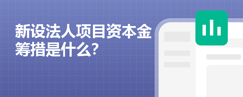 新设法人项目资本金筹措是什么？