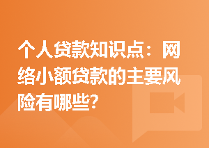 个人贷款知识点：网络小额贷款的主要风险有哪些？