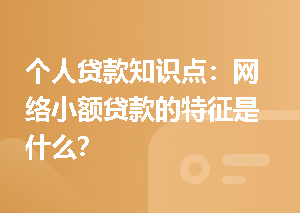个人贷款知识点：网络小额贷款的特征是什么？