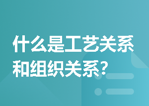 什么是工艺关系和组织关系？