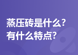 蒸压砖是什么？有什么特点？