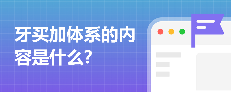 牙买加体系的内容是什么？