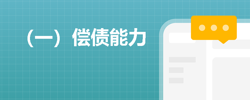 （一）偿债能力