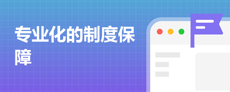 专业化的制度保障