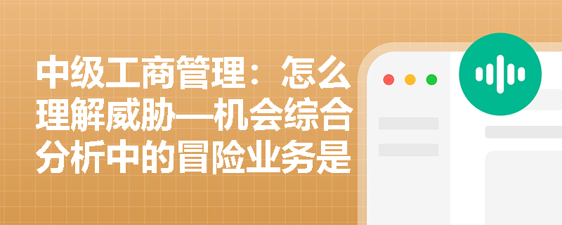 中级工商管理：怎么理解威胁—机会综合分析中的冒险业务是指什么？