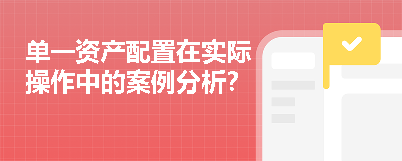 单一资产配置在实际操作中的案例分析？