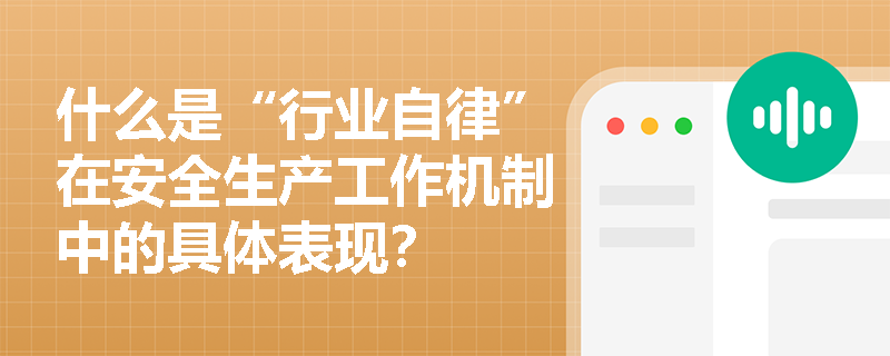 什么是“行业自律”在安全生产工作机制中的具体表现？