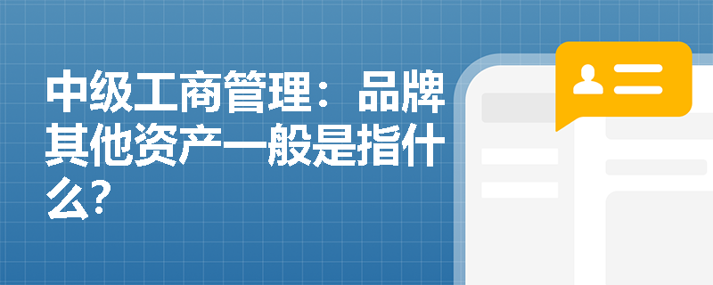中级工商管理：品牌其他资产一般是指什么？