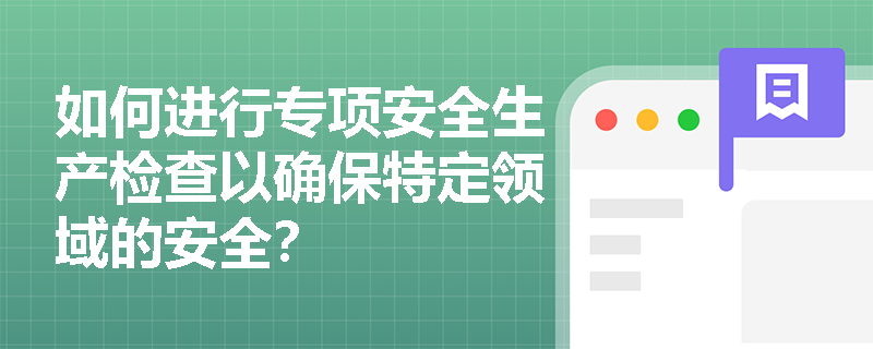如何进行专项安全生产检查以确保特定领域的安全？