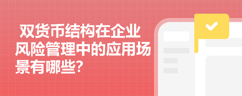  双货币结构在企业风险管理中的应用场景有哪些？