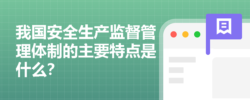我国安全生产监督管理体制的主要特点是什么？
