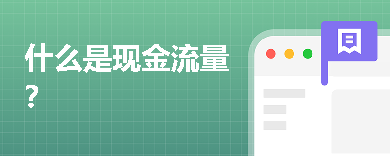 什么是现金流量？
