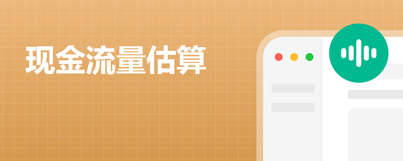 现金流量估算