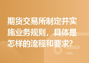 期货交易所制定并实施业务规则，具体是怎样的流程和要求？