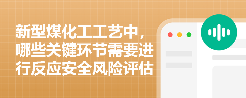 新型煤化工工艺中，哪些关键环节需要进行反应安全风险评估？