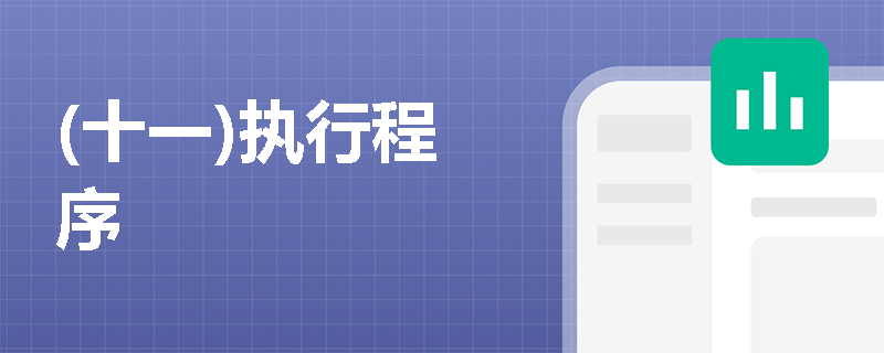 (十一)执行程序