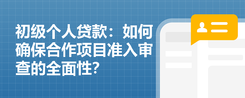 初级个人贷款：如何确保合作项目准入审查的全面性？