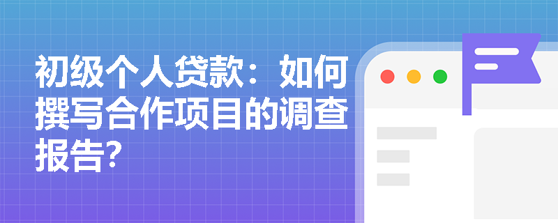 初级个人贷款：如何撰写合作项目的调查报告？