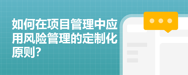 如何在项目管理中应用风险管理的定制化原则？
