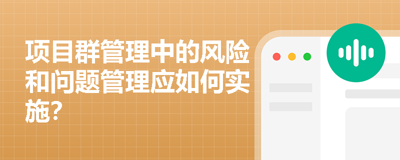 项目群管理中的风险和问题管理应如何实施？