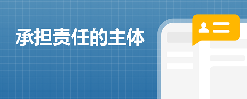 承担责任的主体