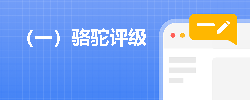 （一）骆驼评级