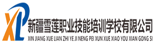 雪莲职业技能培训学校