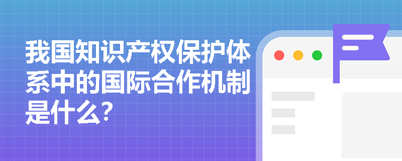 我国知识产权保护体系中的国际合作机制是什么？
