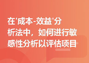 在'成本-效益'分析法中，如何进行敏感性分析以评估项目的稳健性？