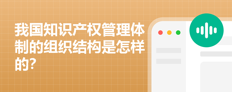 我国知识产权管理体制的组织结构是怎样的？