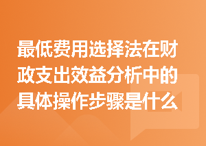 最低费用选择法在财政支出效益分析中的具体操作步骤是什么？