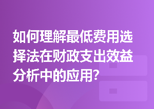 如何理解最低费用选择法在财政支出效益分析中的应用？