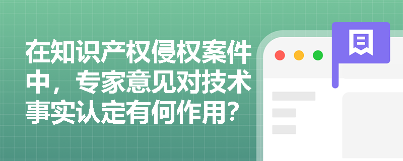 在知识产权侵权案件中，专家意见对技术事实认定有何作用？