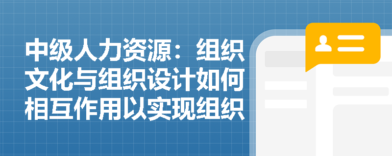 中级人力资源：组织文化与组织设计如何相互作用以实现组织目标？