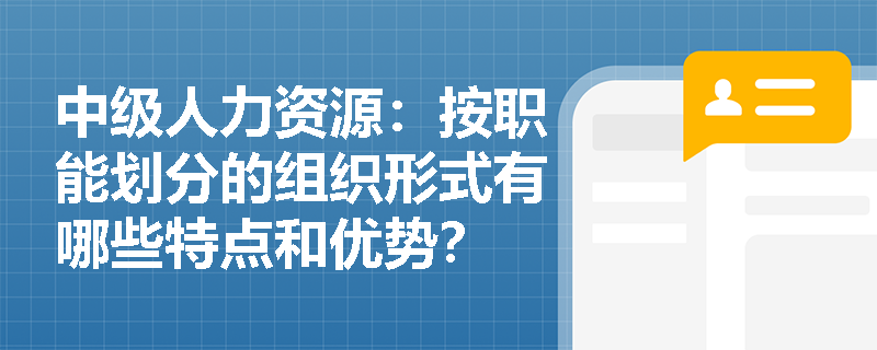 中级人力资源：按职能划分的组织形式有哪些特点和优势？