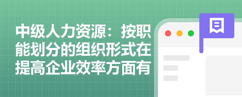 中级人力资源：按职能划分的组织形式在提高企业效率方面有哪些具体表现？