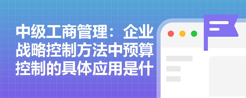 中级工商管理：企业战略控制方法中预算控制的具体应用是什么？