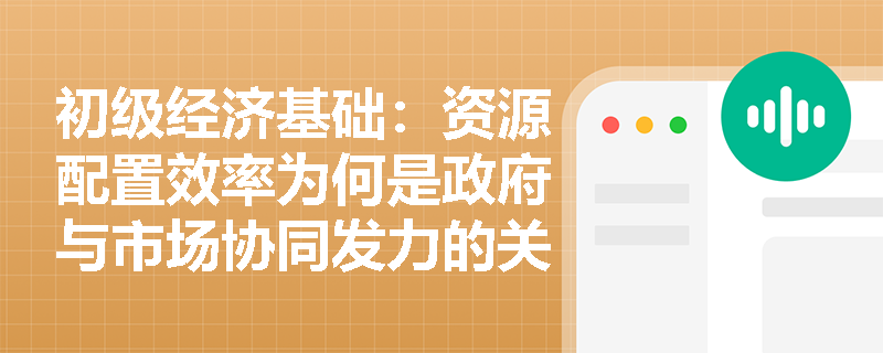 初级经济基础:资源配置效率为何是政府与市场协同发力的关键突破口? 初级经济基础:资源配置效率为何是政府与市场协同发力的关键突破口?