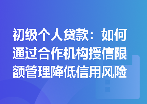 初级个人贷款：如何通过合作机构授信限额管理降低信用风险？