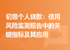 初级个人贷款：信用风险监测报告中的关键指标及其应用