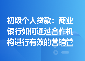 初级个人贷款：商业银行如何通过合作机构进行有效的营销管理？