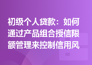 初级个人贷款：如何通过产品组合授信限额管理来控制信用风险？