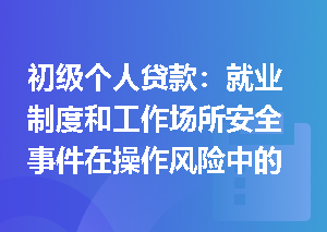 初级个人贷款：就业制度和工作场所安全事件在操作风险中的具体表现是什么？