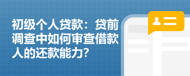 初级个人贷款:贷前调查中如何审查借款人的还款能力? 初级个人贷款:贷前调查中如何审查借款人的还款能力?